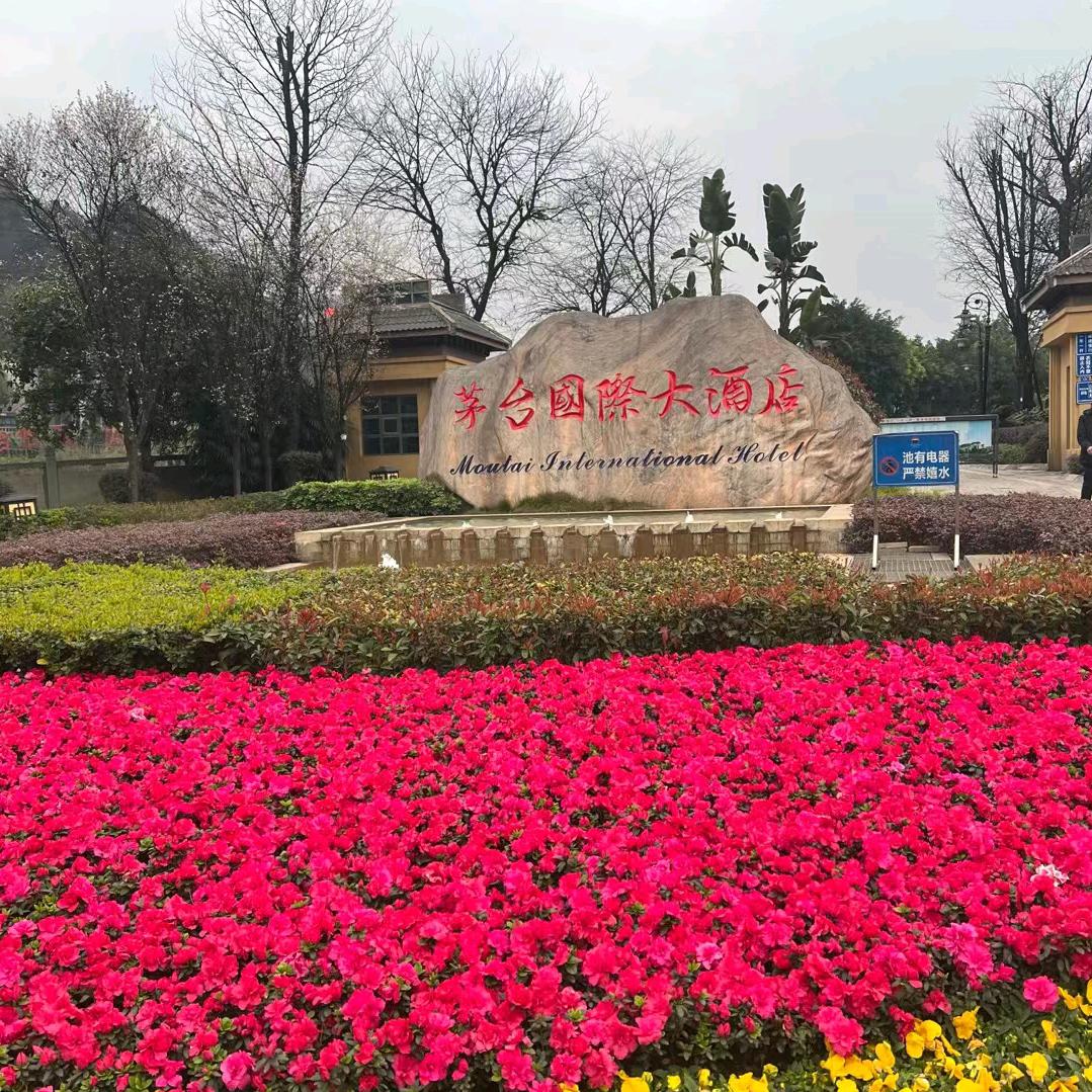 盗将行