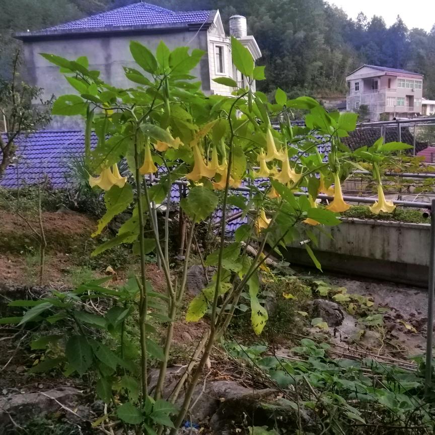 感谢有你