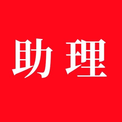 高级助理