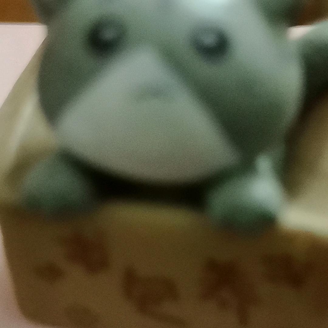 嫂子开门，我是我哥