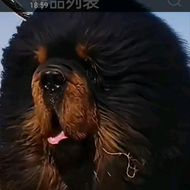 手机用户89852444193