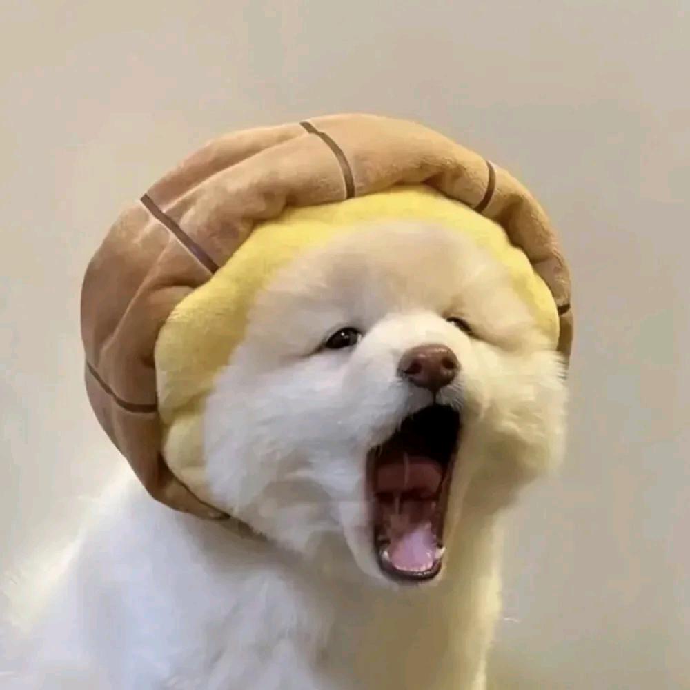 华殇