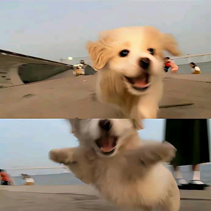 贵阳大聪明回收