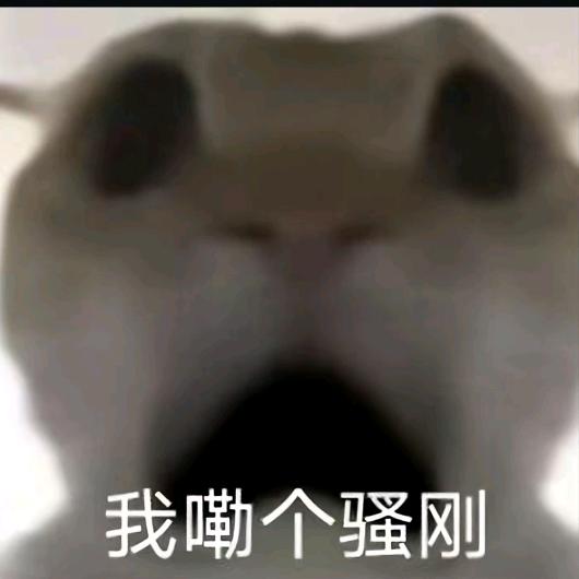 妹几？