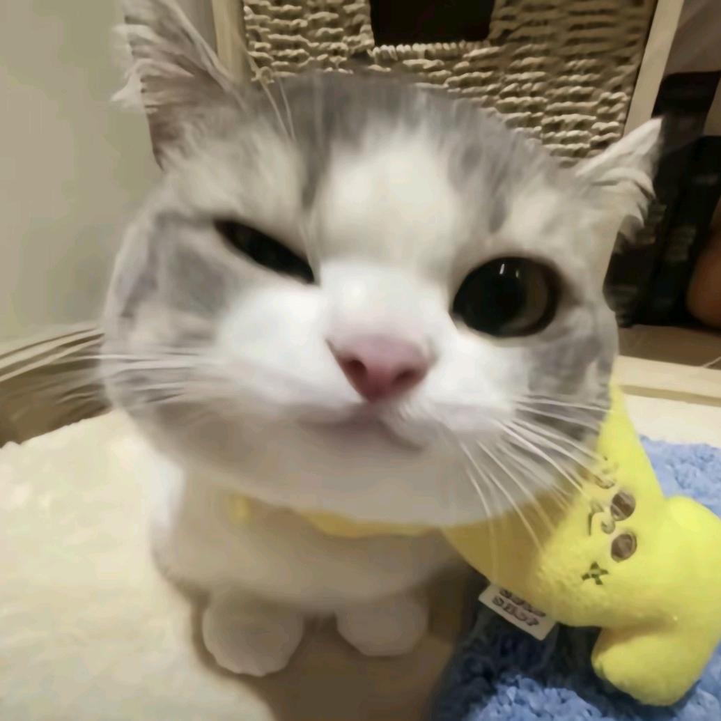 诗中人梦中客