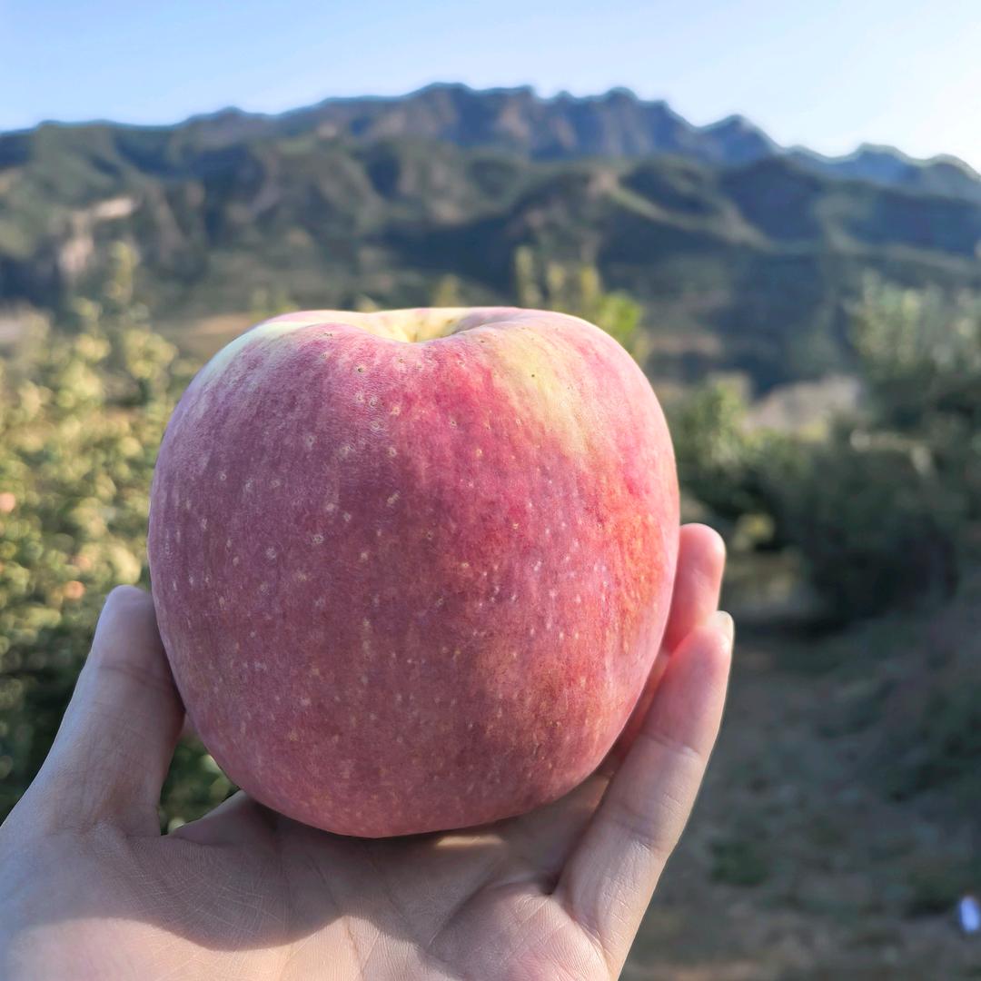 姐俩儿潮牌服饰
