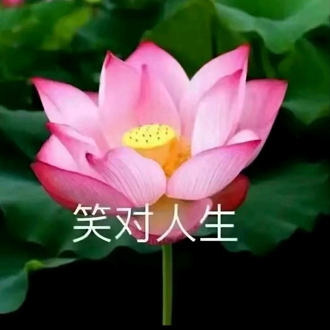 🌈慶