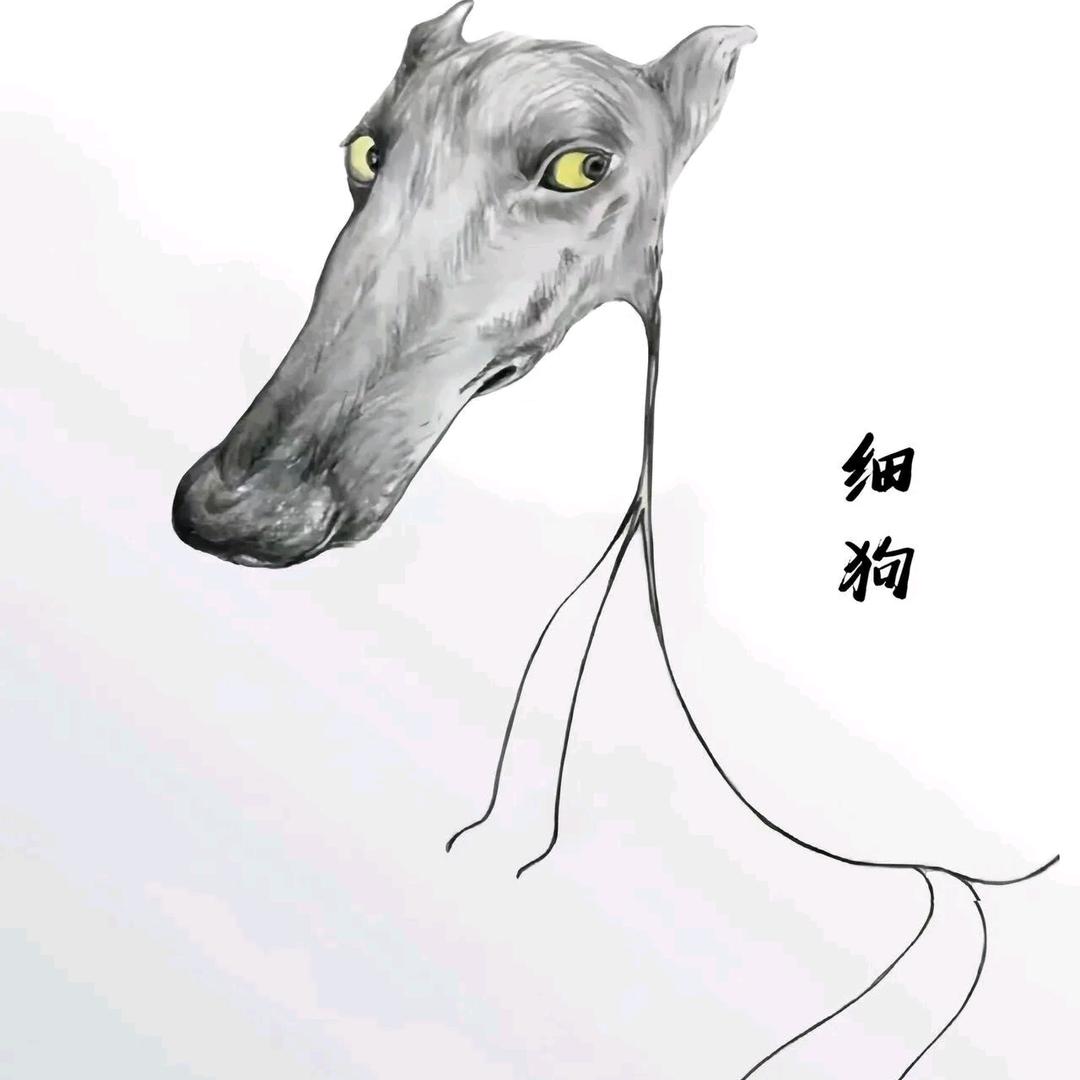 细狗