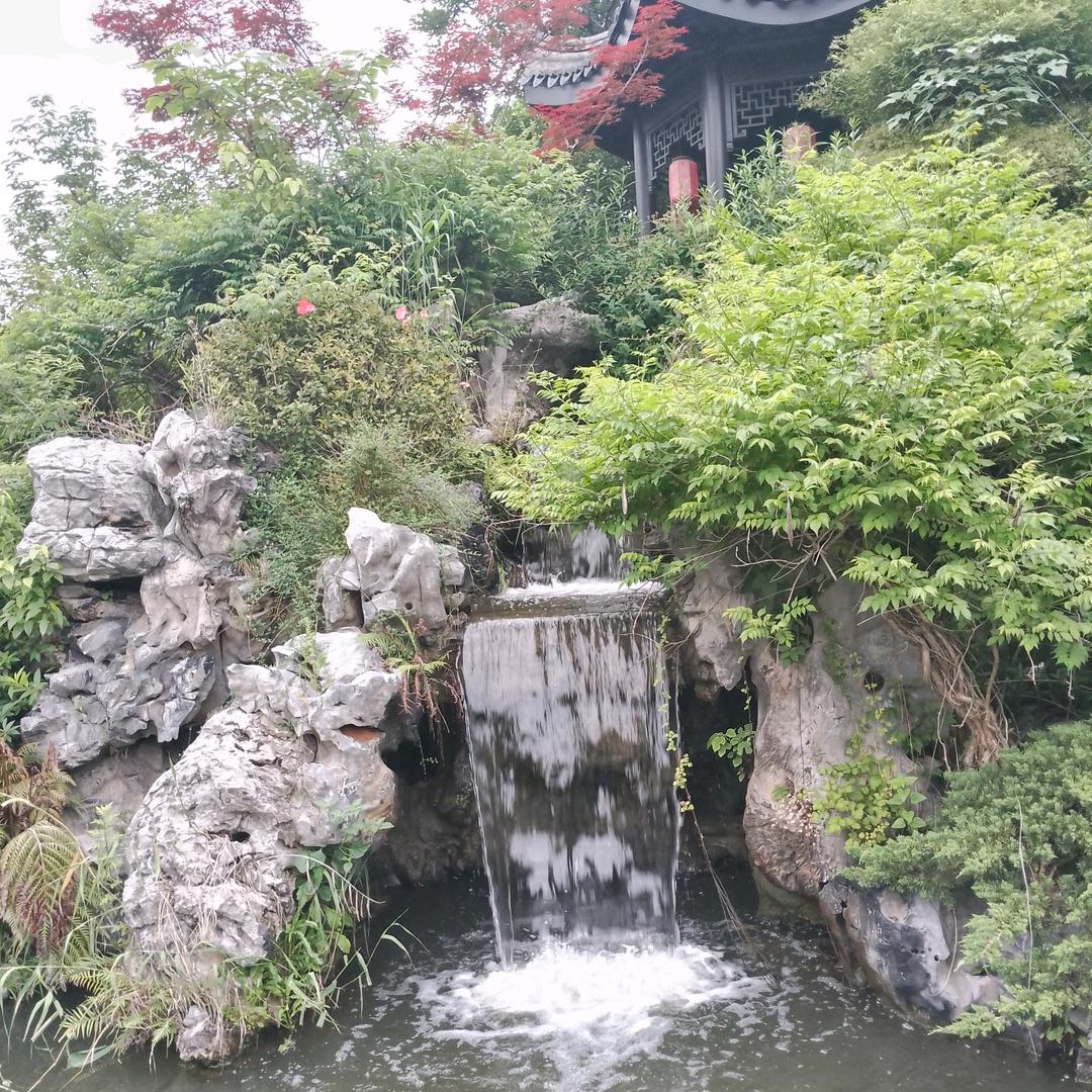 欲尽沧桑为何求，只为一生不低头