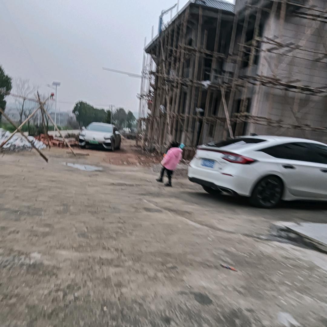 龙姑娘头像