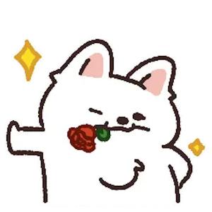 ✡柒柒是小金牛呀☪