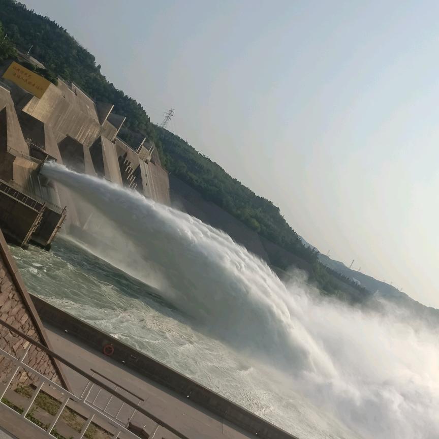 青青