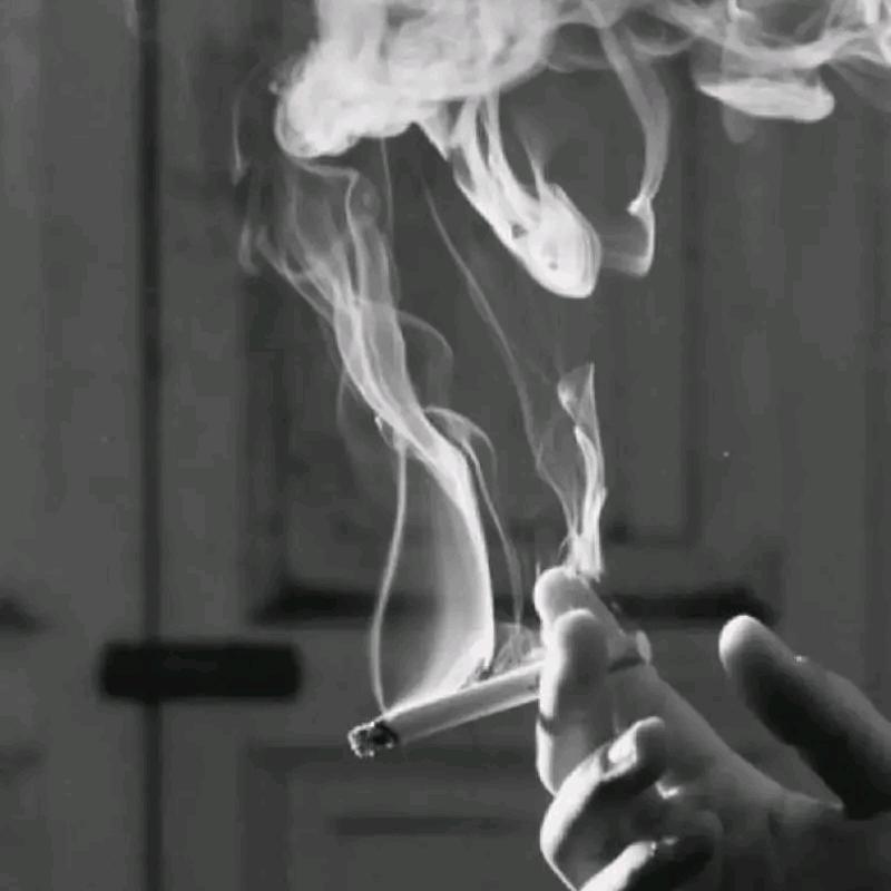 朵儿