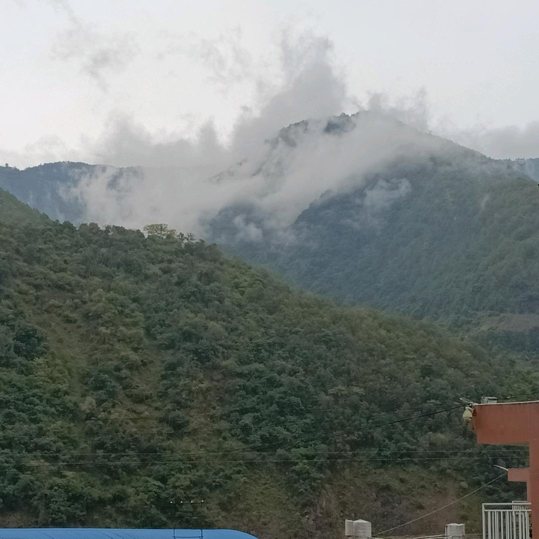 鹤壁张良