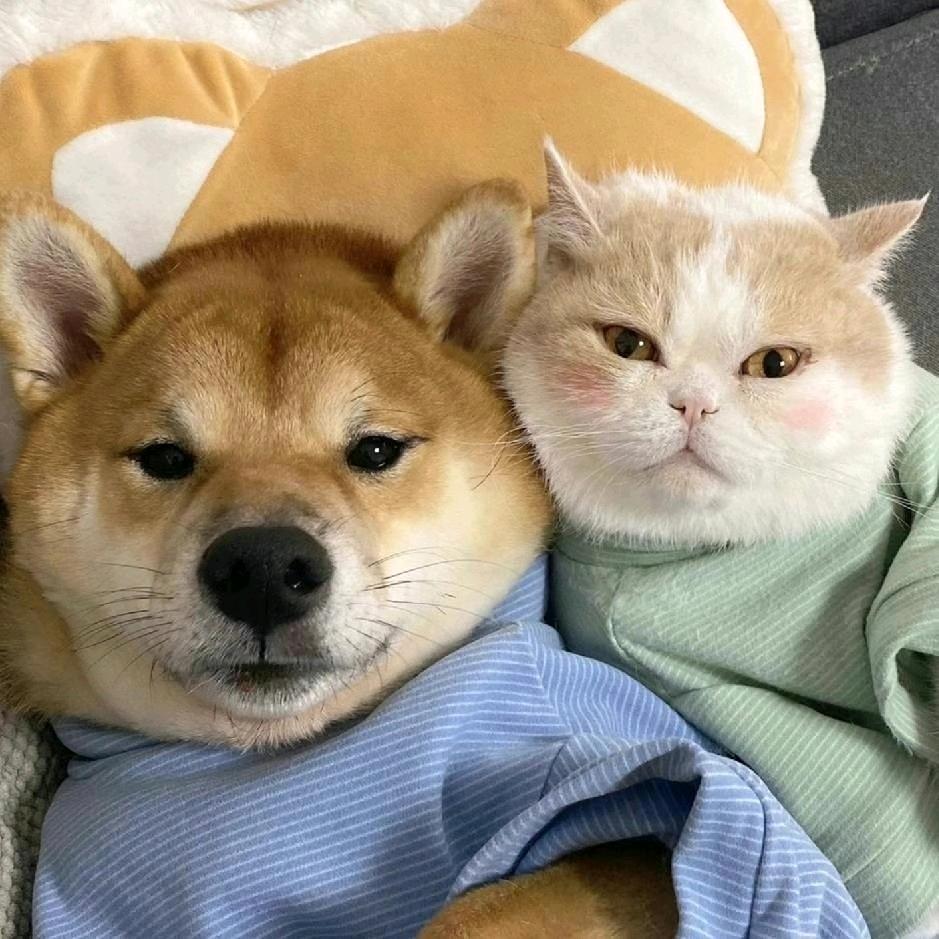 注意力整装设计师庞孟君