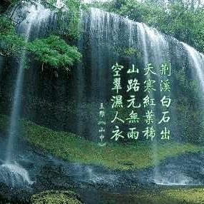 綦点
