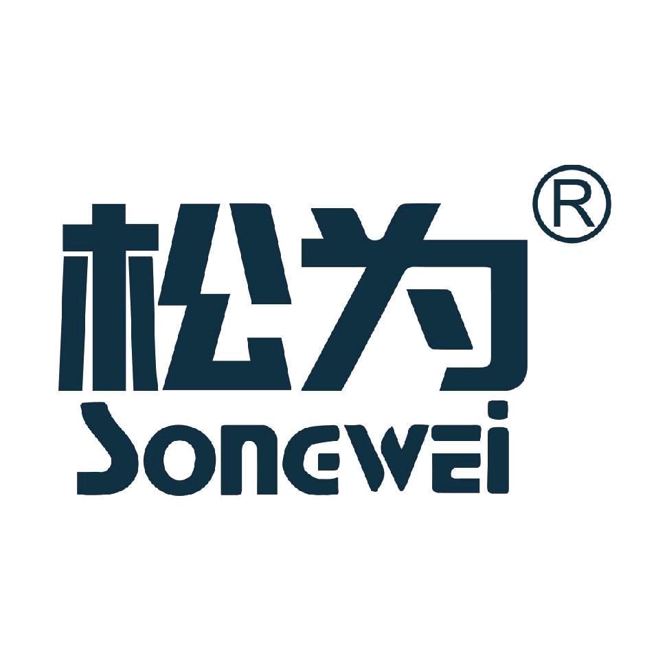 松为电子数码专卖店
