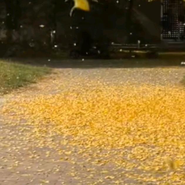 。。。。。。。。。