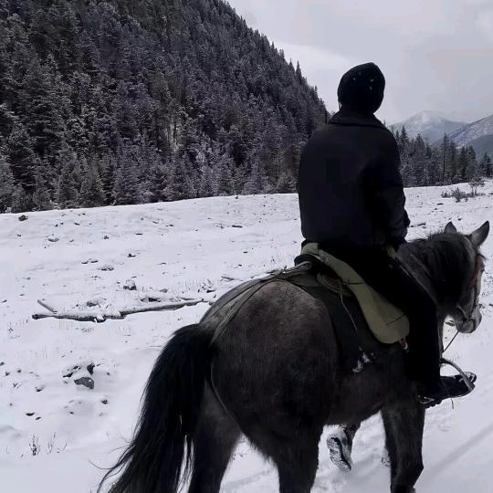 明非无名