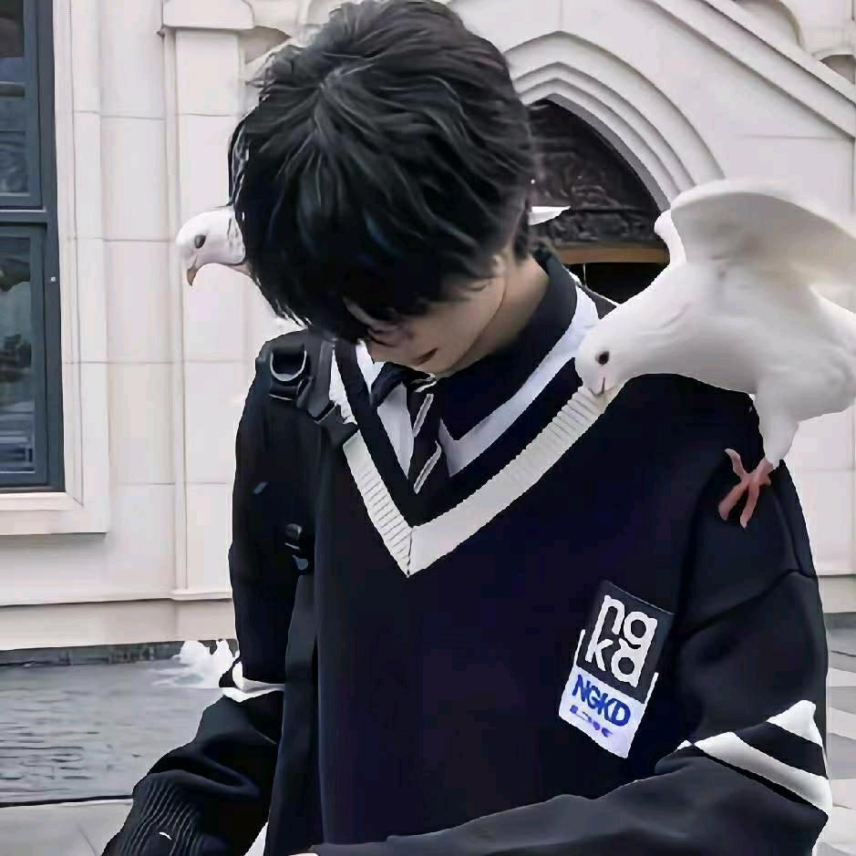 落.浅