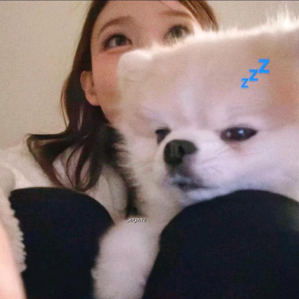 吃土豆长大的马铃薯🍟