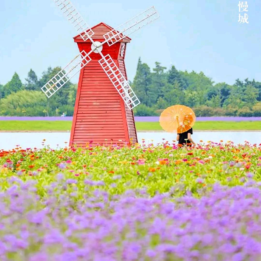 神的传说