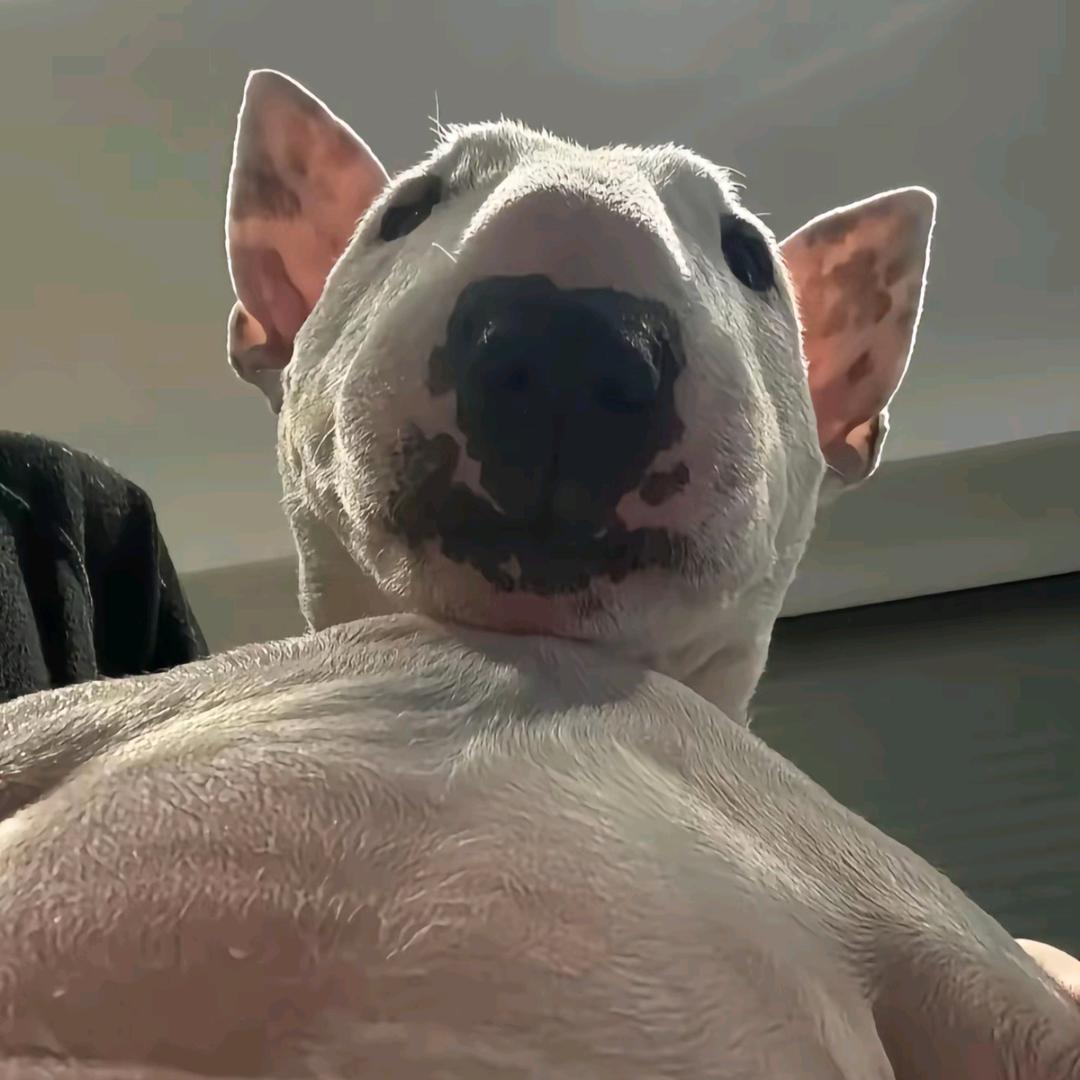 2k  阿南  ⛹️‍♂️