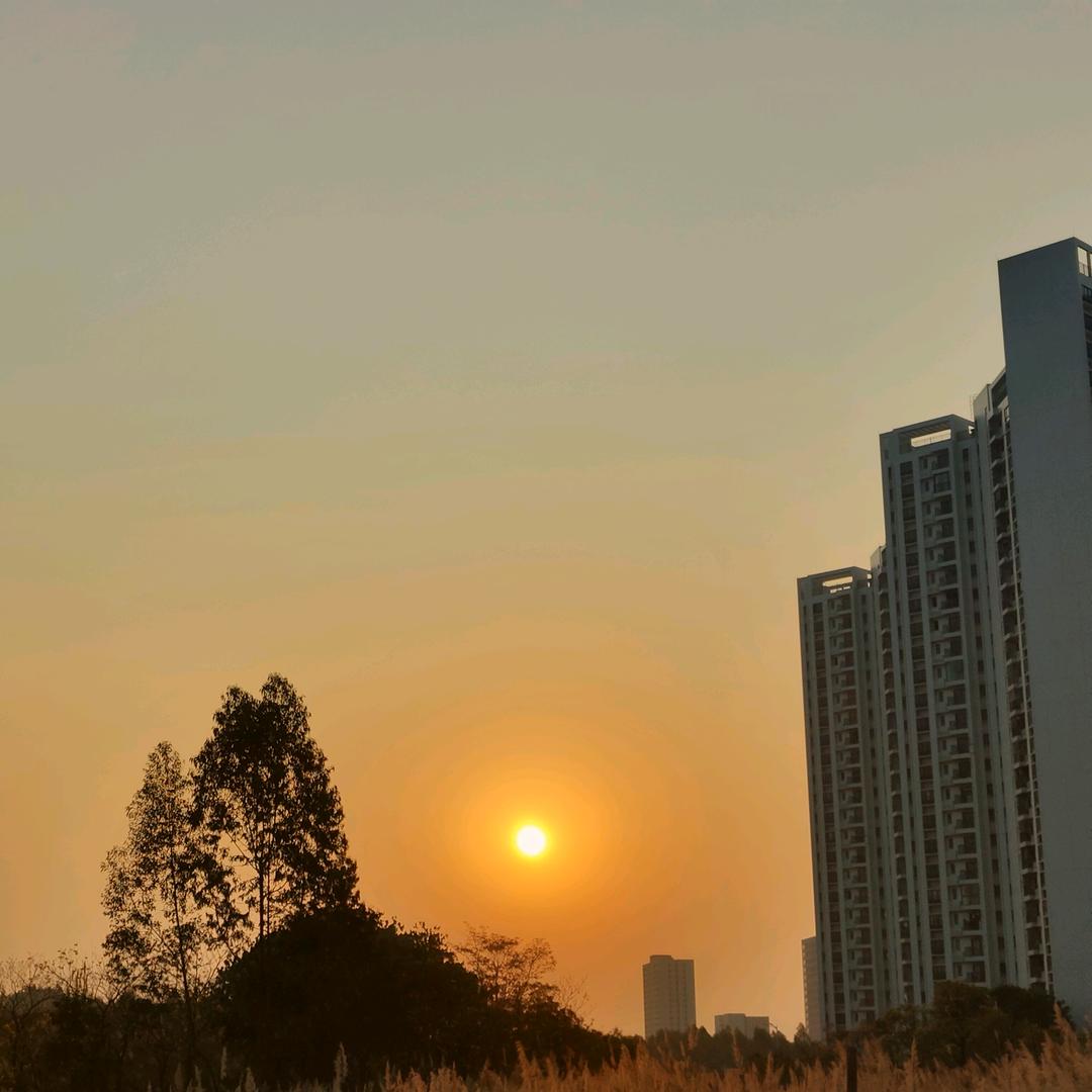 小小怪
