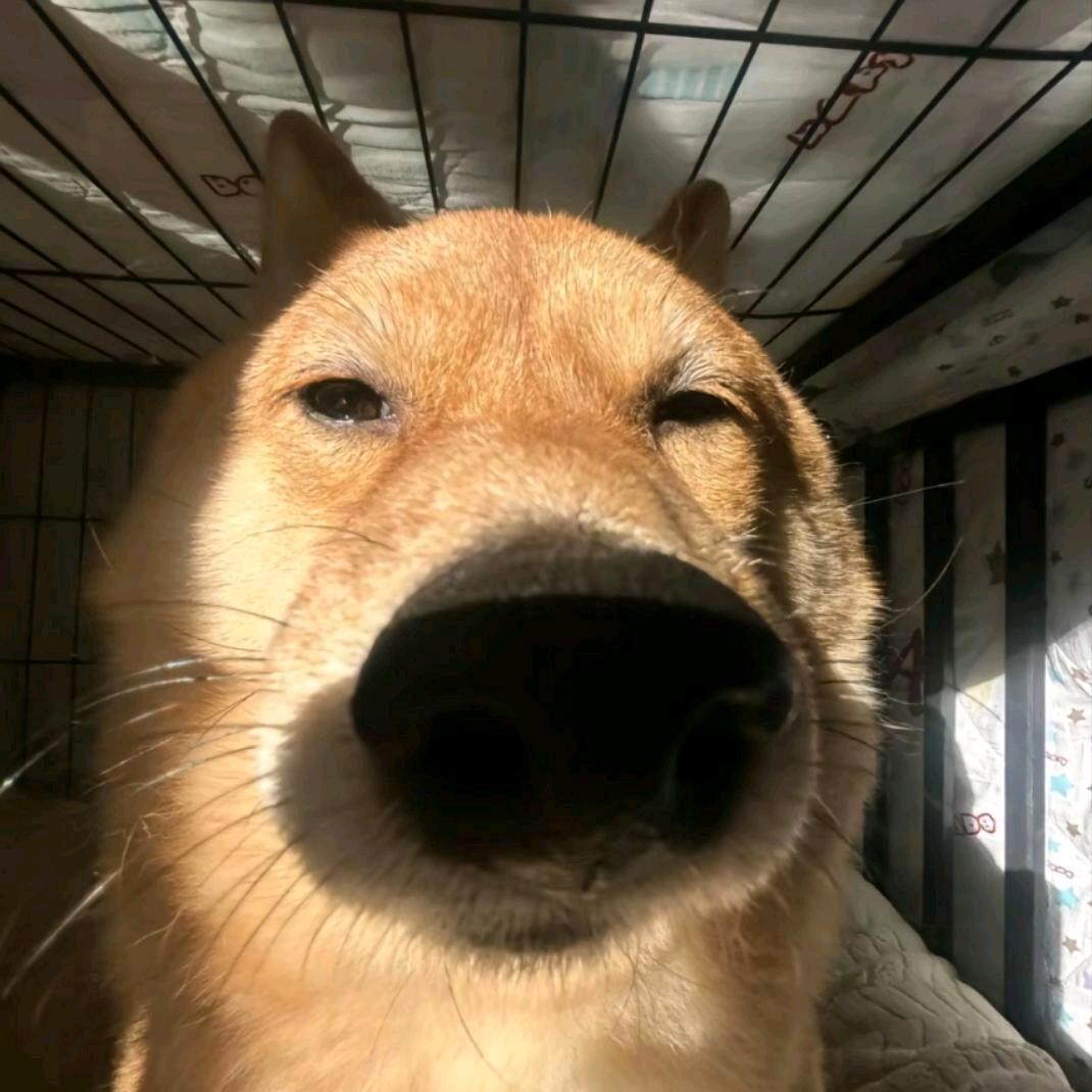 a.