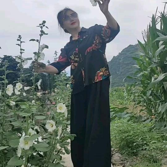 生活不易，商品橱窗