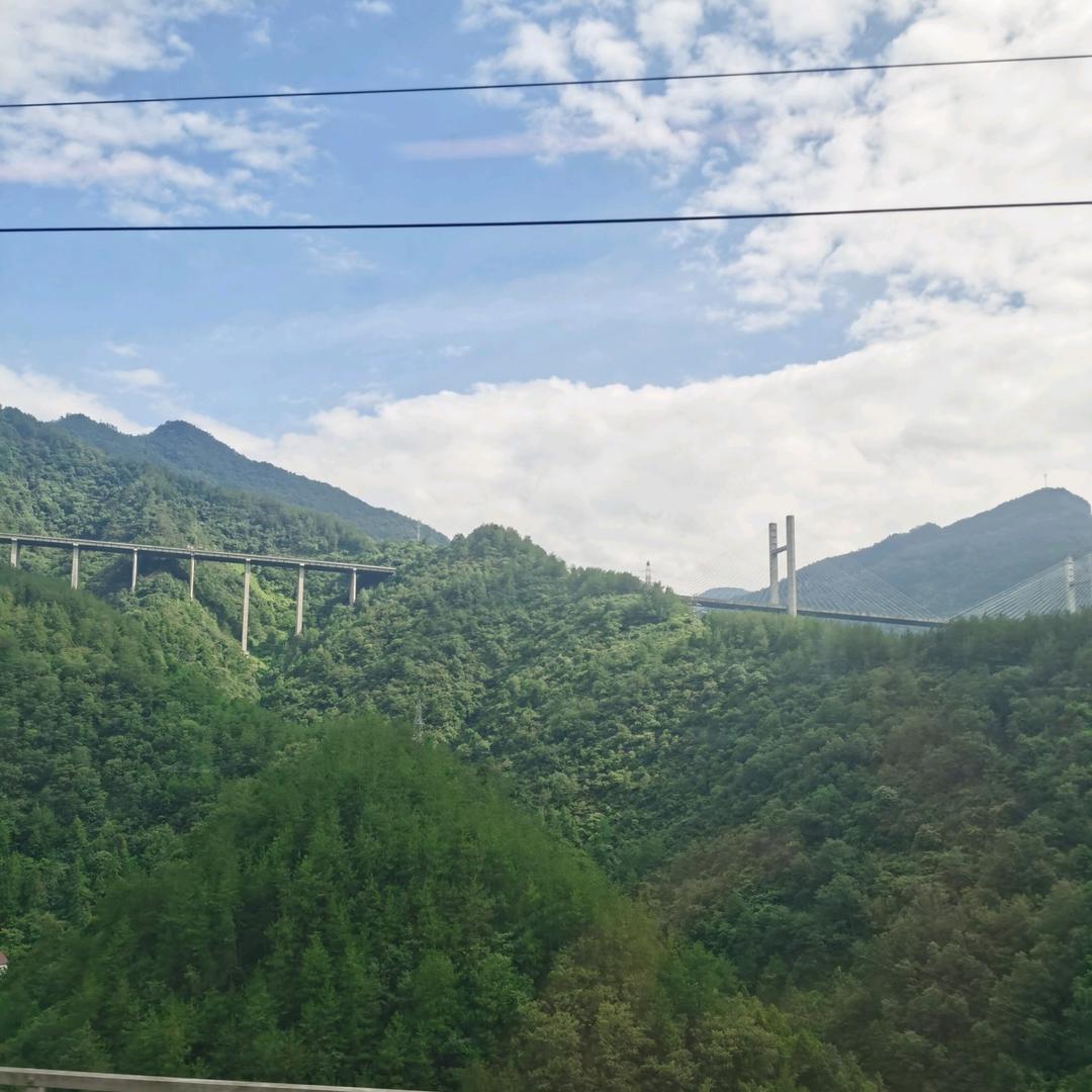 一路向阳☀