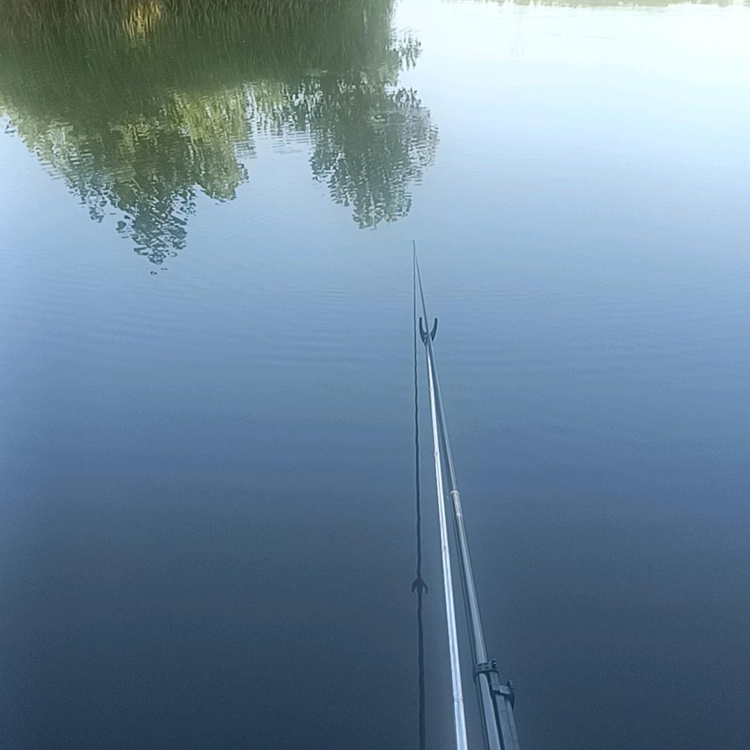 ~~~