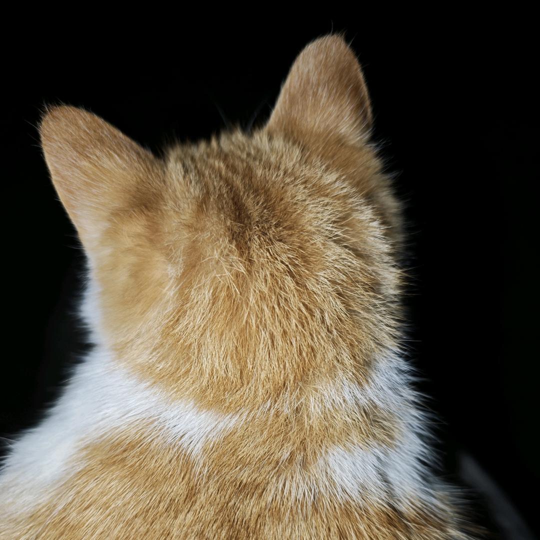 安逸平和（逍遥）