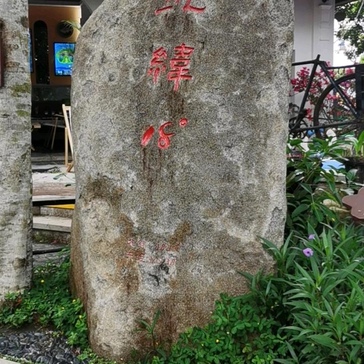 树大根深