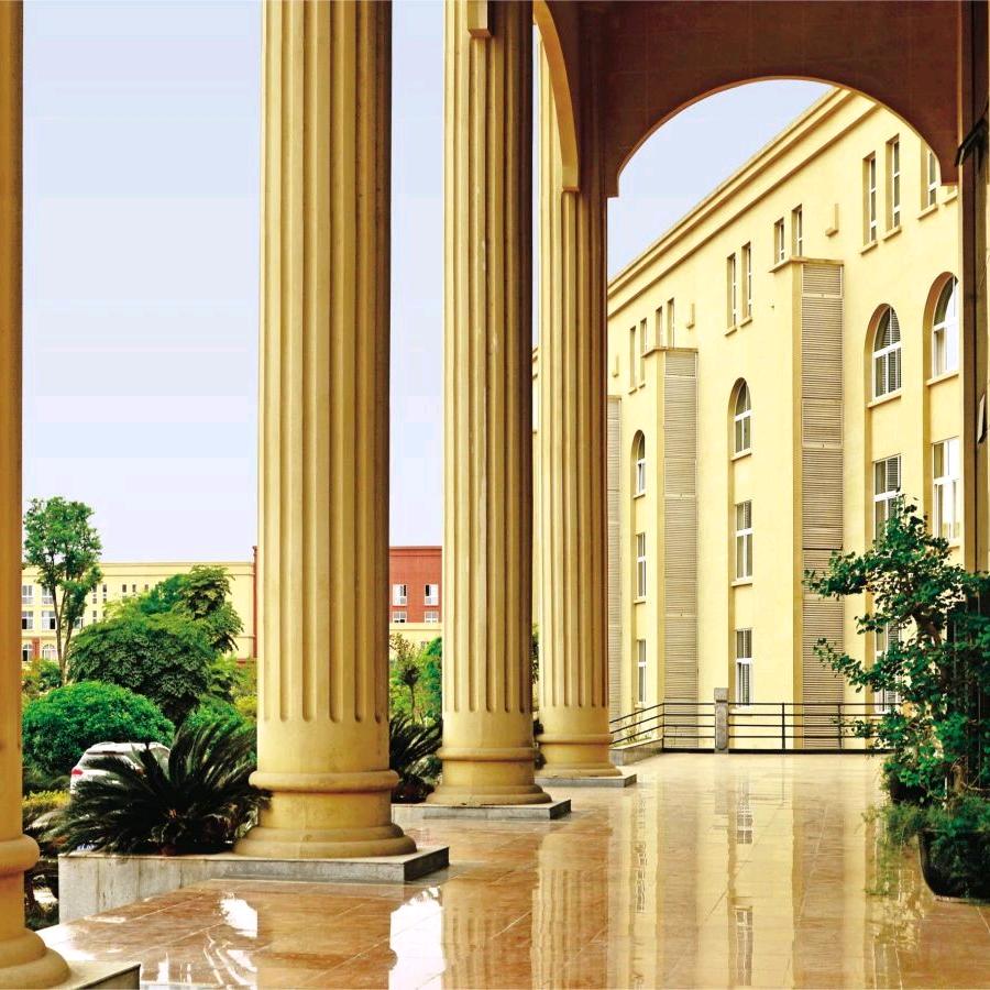 杜老师高三升学⭐