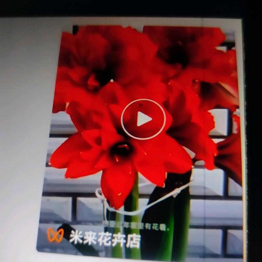 美好时光