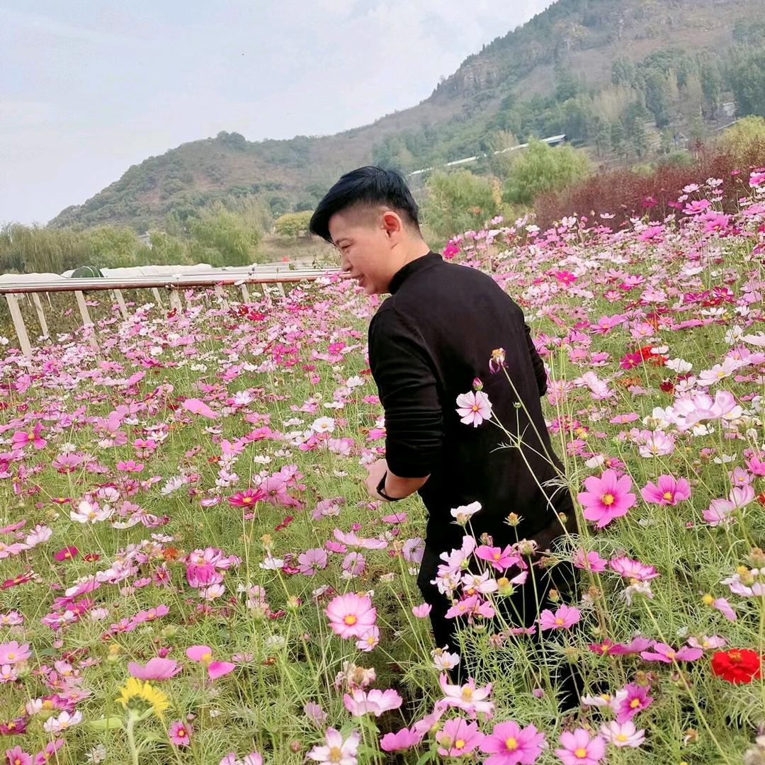 AA梦想成真