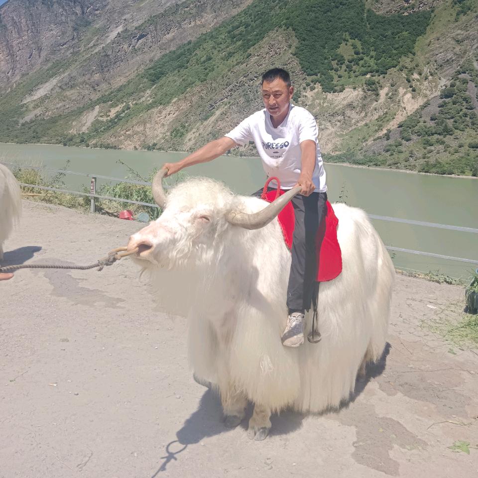 大兰州