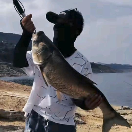 @爆护 🎣阿东哥