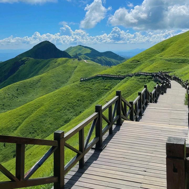 海的尽头是花园