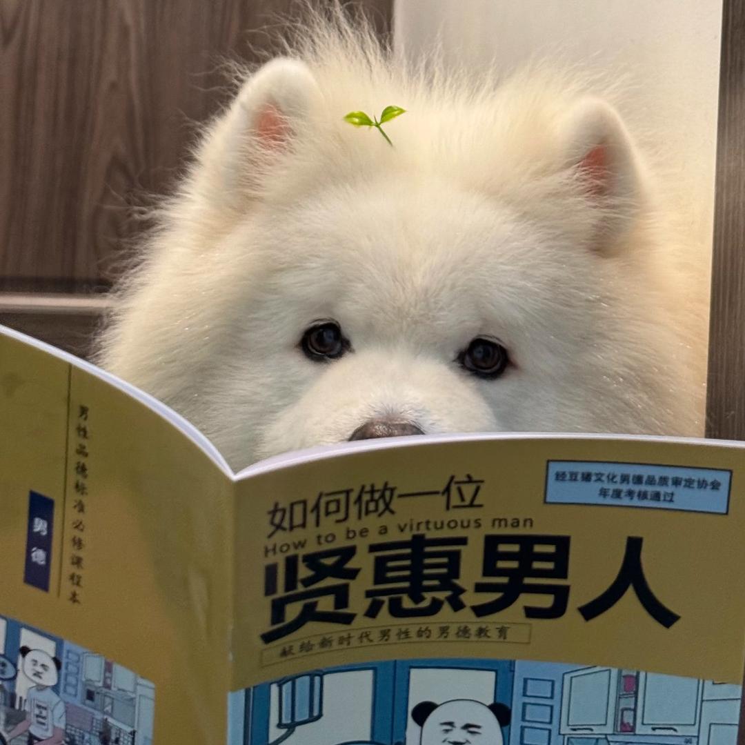 猴子大王2876