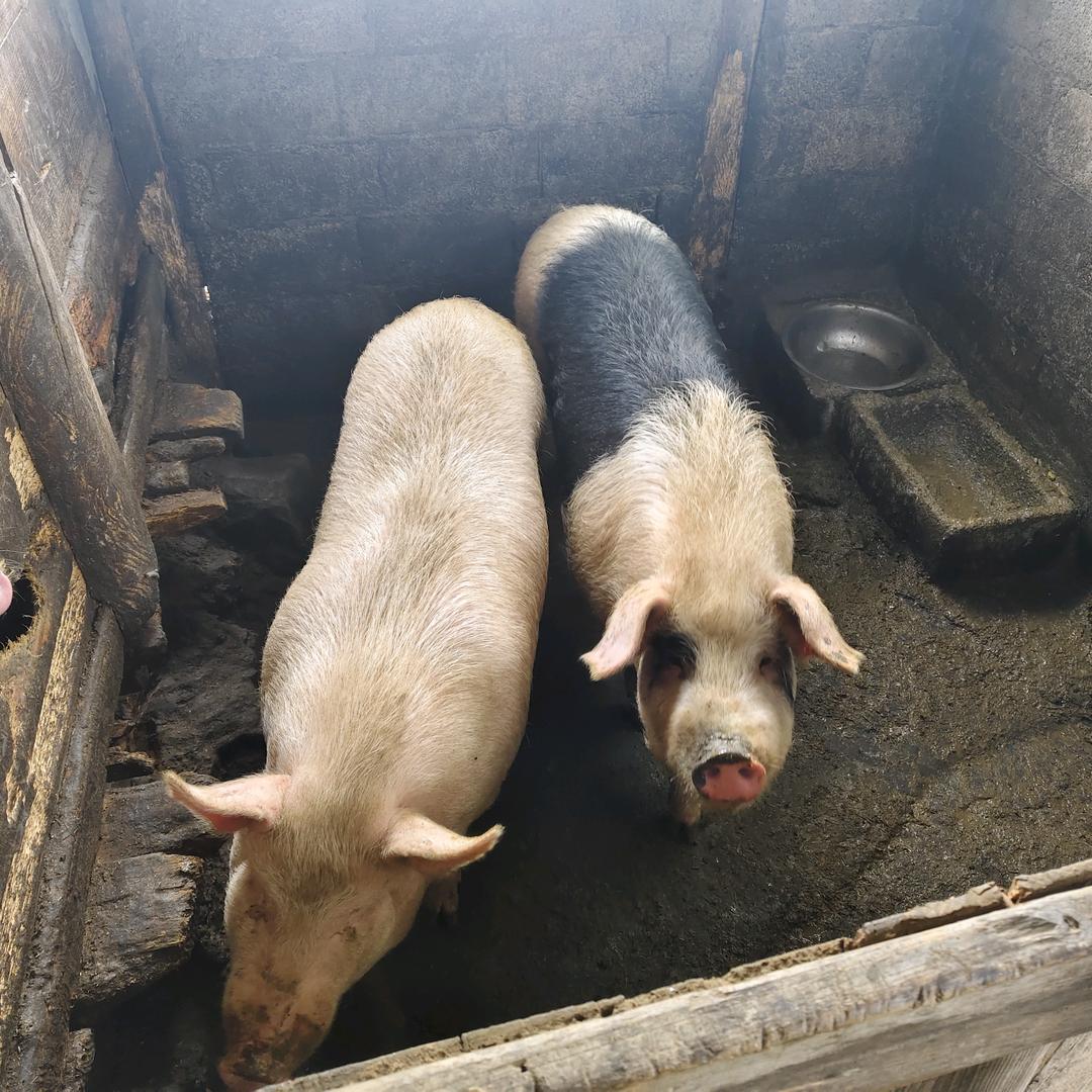 始终坚信所有美好会不期而遇