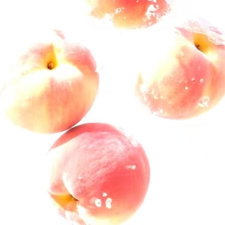 碎银几两