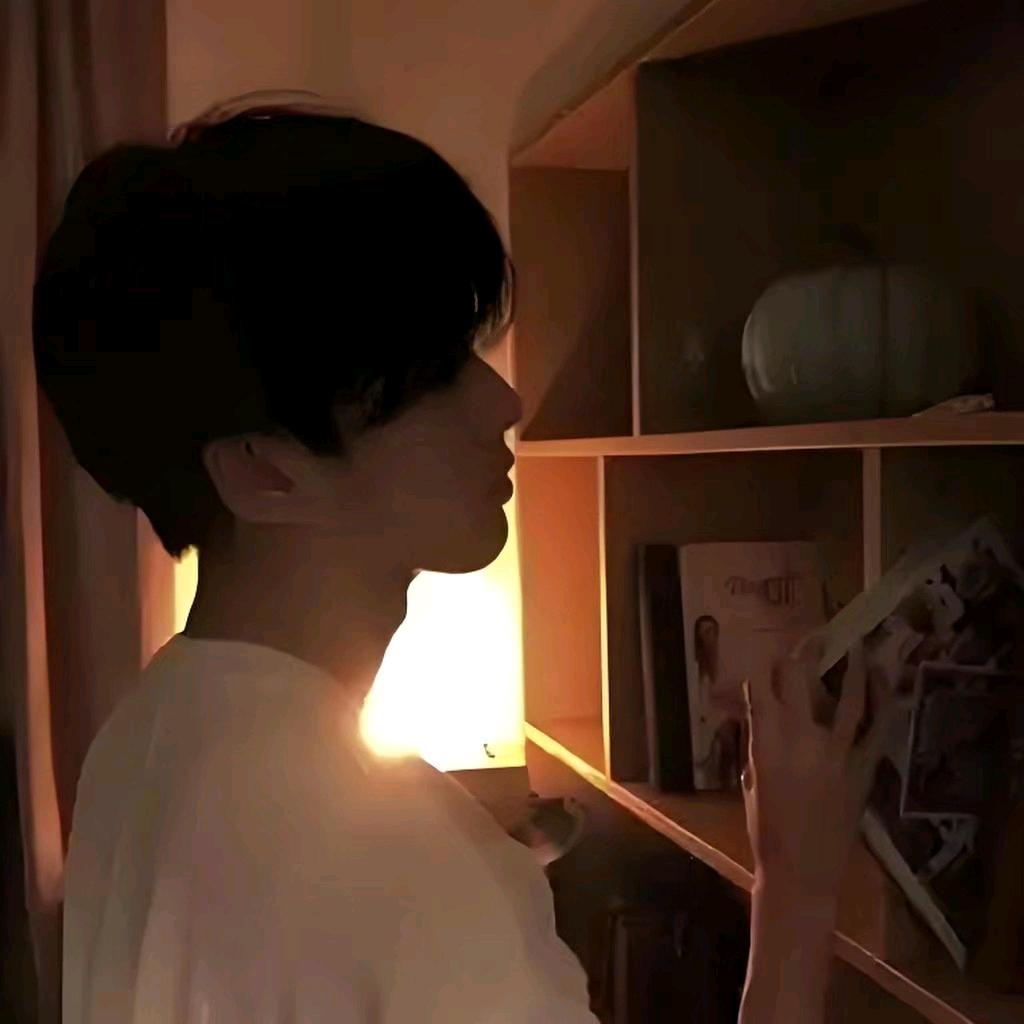 北雁