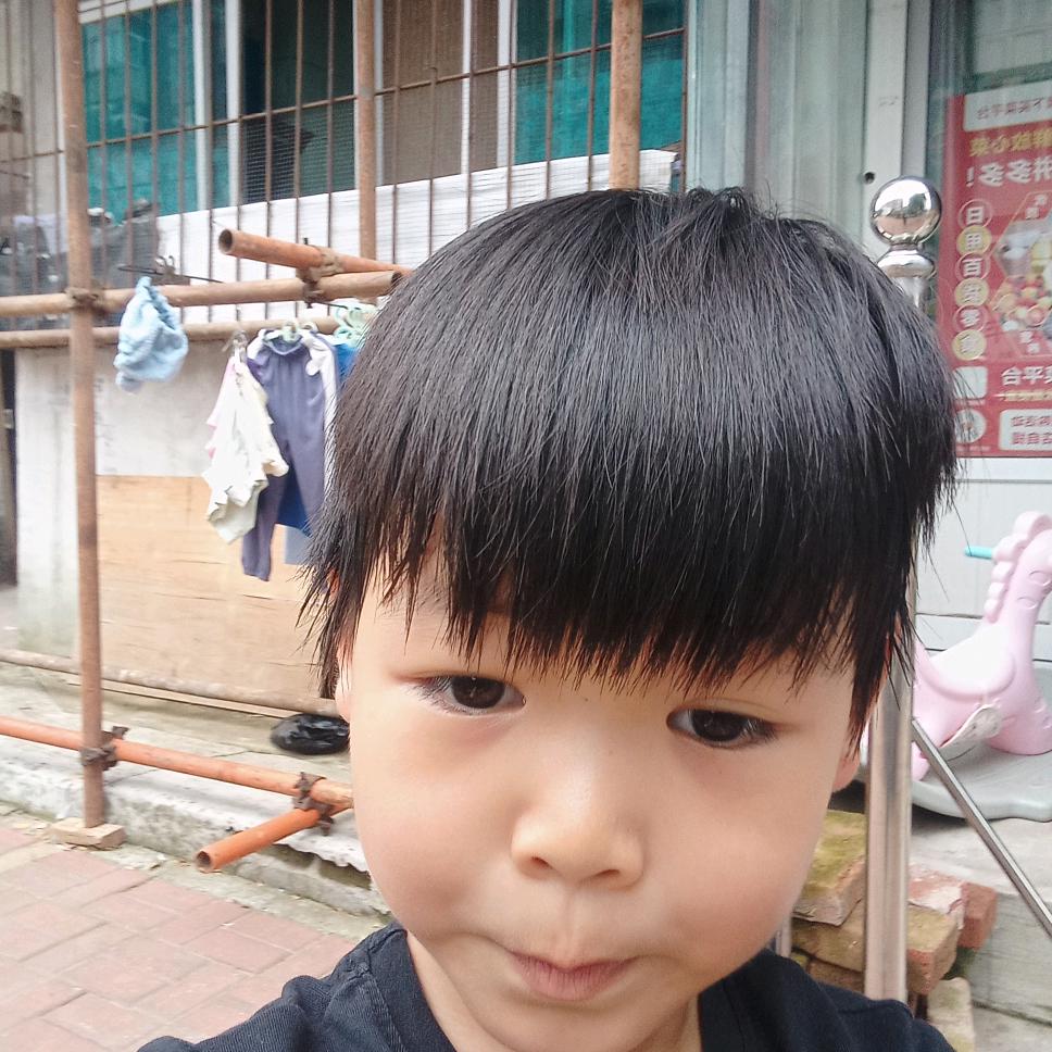 扯蛋人生