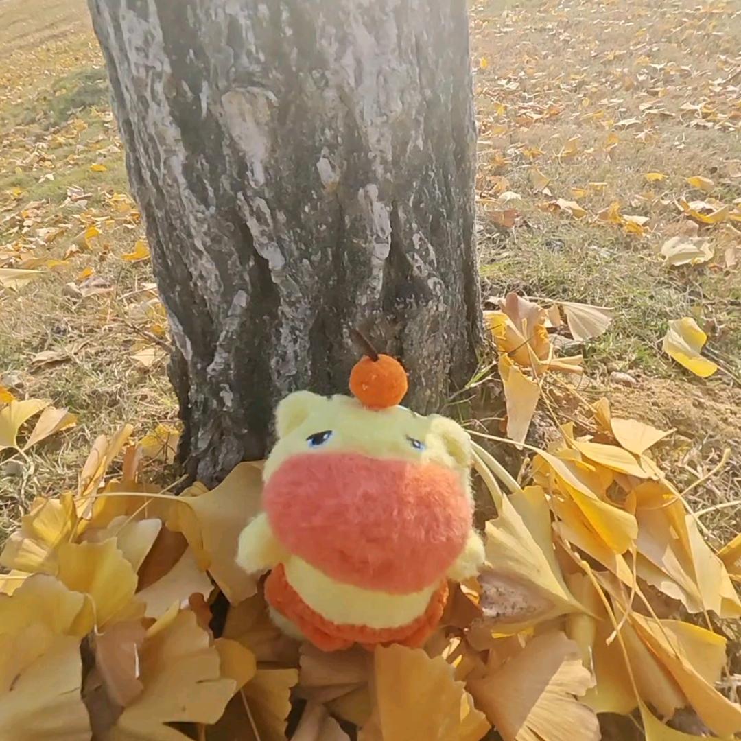 杨堃