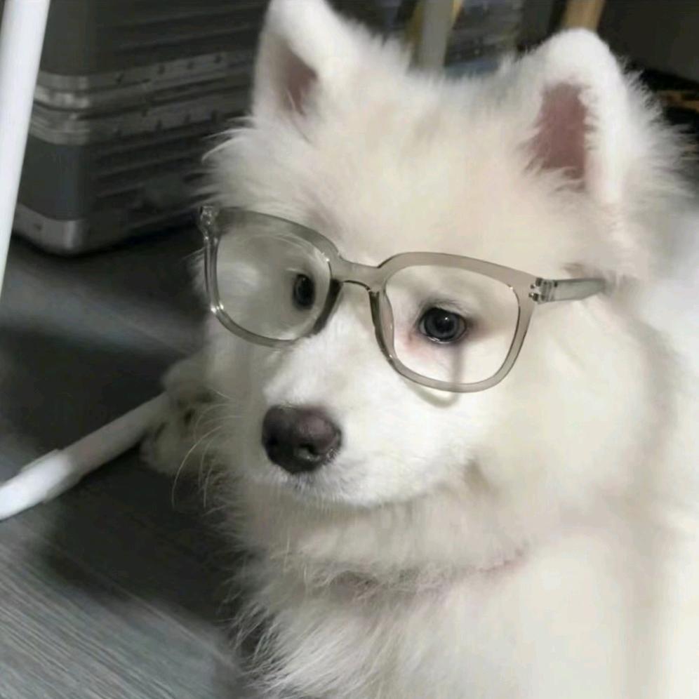 是噗噗啊