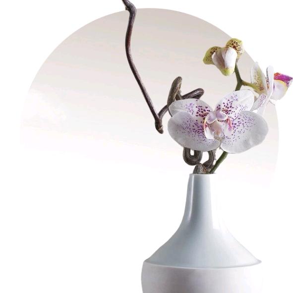 妍医森