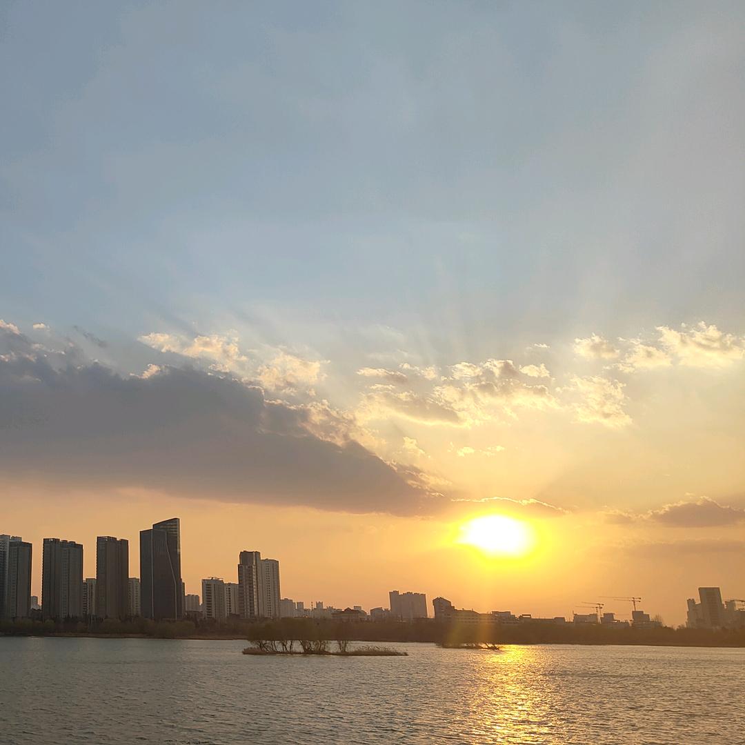 鲁黑子