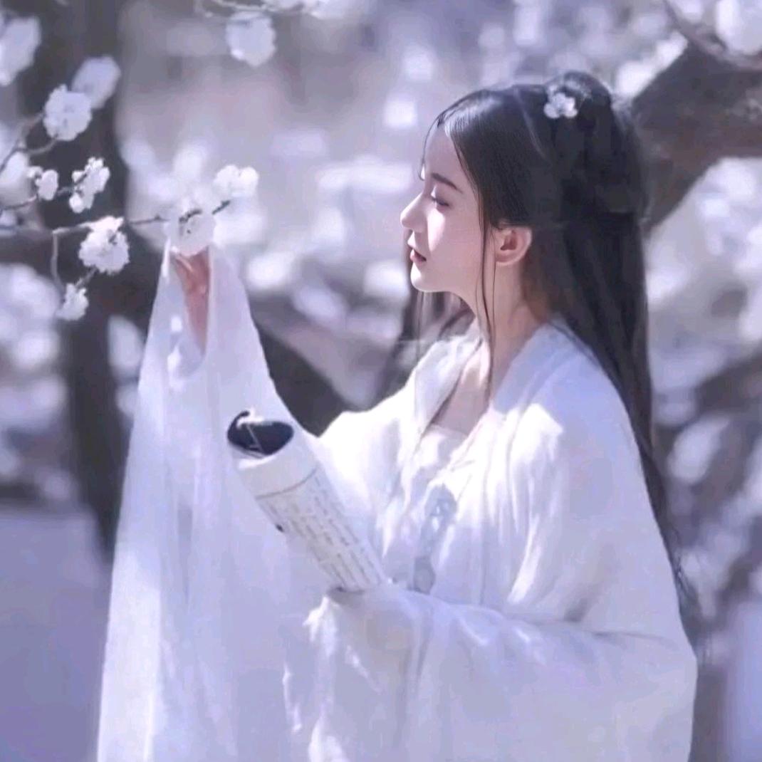 ꧁似梦飞花🌼꧂（特效师）